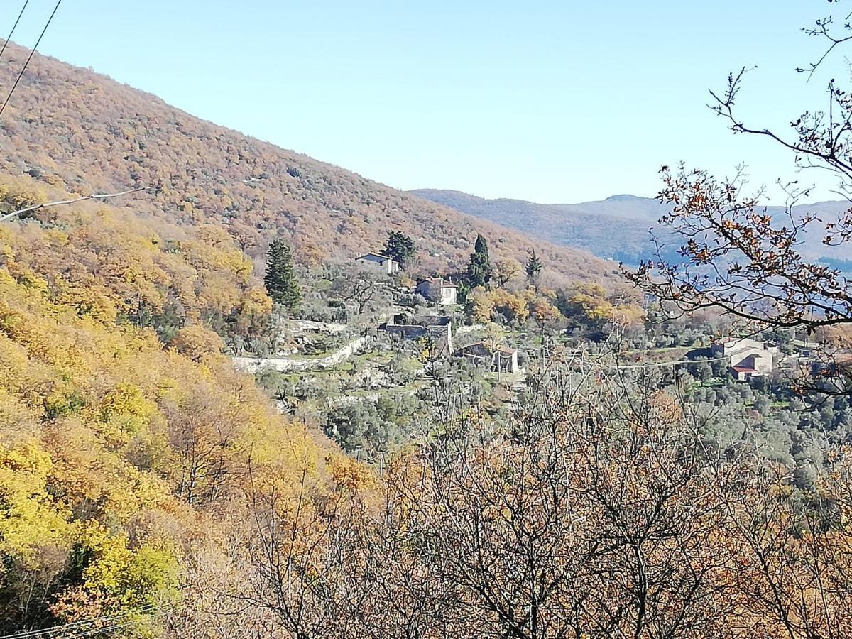Agriturismo Casamatta Azienda Agricola Каленцано Экстерьер фото