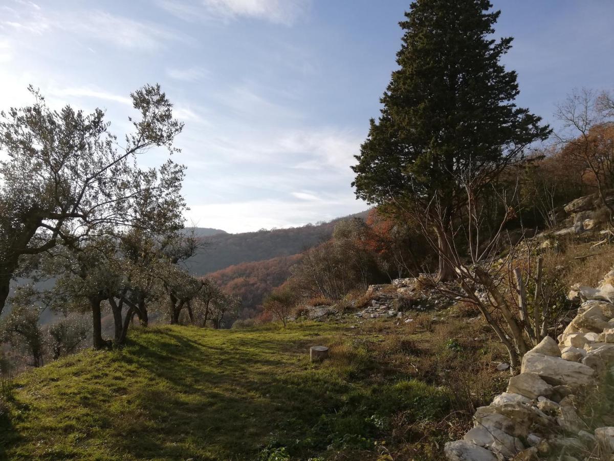 Agriturismo Casamatta Azienda Agricola Каленцано Экстерьер фото